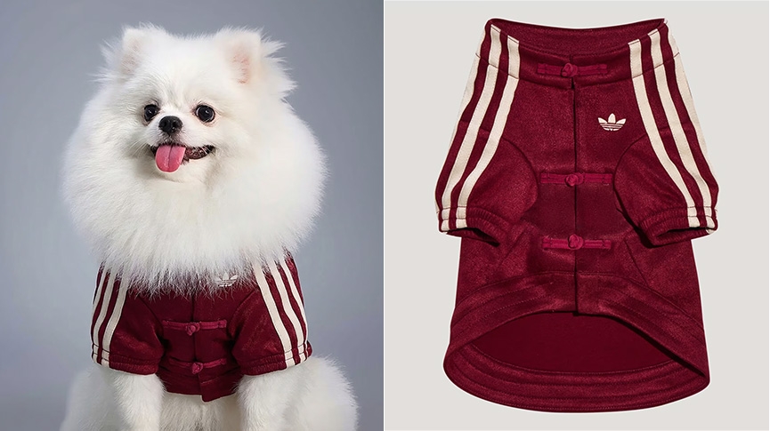 寵物新年穿搭2026-貓狗賀年服挑選指南-尺寸-材質及拍照技巧一覽